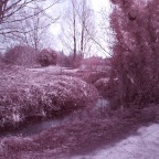 lake infrared 15