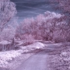 lake infrared 12